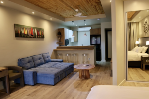 Premium Open-Plan 6